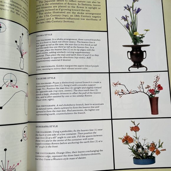 How to Decorate With Plants Time Life Encyclopedia of Gardening 1978 u - Picture 10 of 12